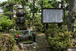 清水宗治の胴塚｜高解像度画像サイズ：5479 x 3653 pixels｜写真番号：1P3J6549｜撮影：Canon EOS-1Ds Mark III