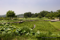 二ノ丸跡｜高解像度画像サイズ：5506 x 3671 pixels｜写真番号：1P3J6561｜撮影：Canon EOS-1Ds Mark III