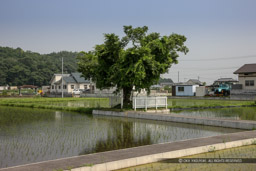 ごうやぶ遺跡｜高解像度画像サイズ：5414 x 3609 pixels｜写真番号：1P3J6563｜撮影：Canon EOS-1Ds Mark III