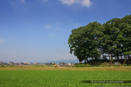 蛙ケ鼻築堤跡｜高解像度画像サイズ：5480 x 3653 pixels｜写真番号：1P3J7318｜撮影：Canon EOS-1Ds Mark III