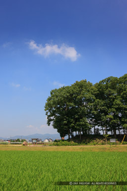 蛙ケ鼻築堤跡｜高解像度画像サイズ：3649 x 5474 pixels｜写真番号：1P3J7321｜撮影：Canon EOS-1Ds Mark III