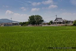 清水宗治自刃の地・ごうやぶ遺跡・星友寺｜高解像度画像サイズ：5616 x 3744 pixels｜写真番号：1P3J7355｜撮影：Canon EOS-1Ds Mark III