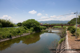 足守川｜高解像度画像サイズ：5616 x 3744 pixels｜写真番号：1P3J7419｜撮影：Canon EOS-1Ds Mark III