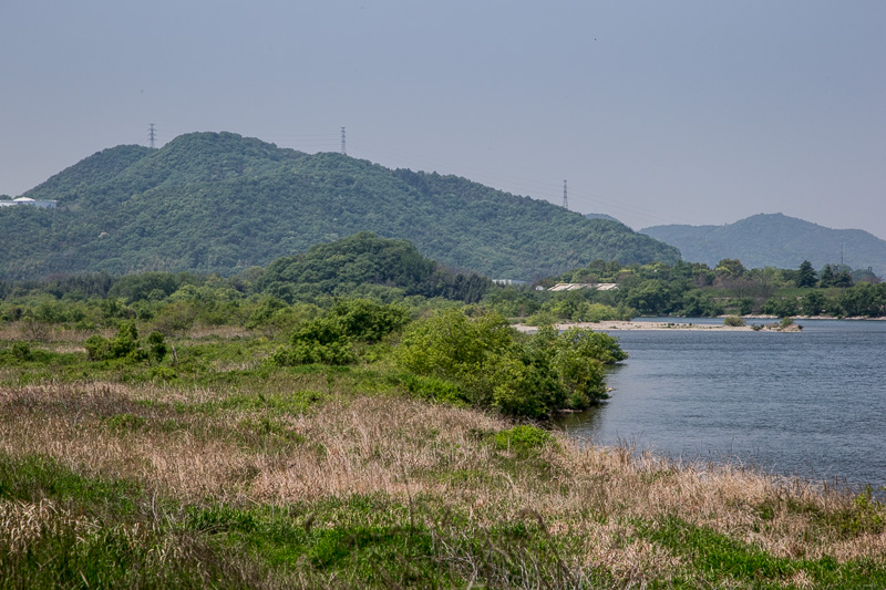 吉井川と本城山