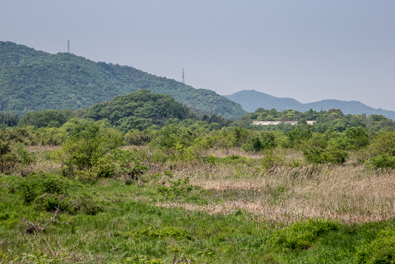 本城山