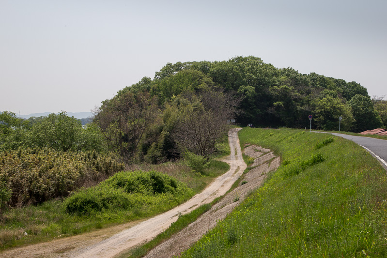 本城山