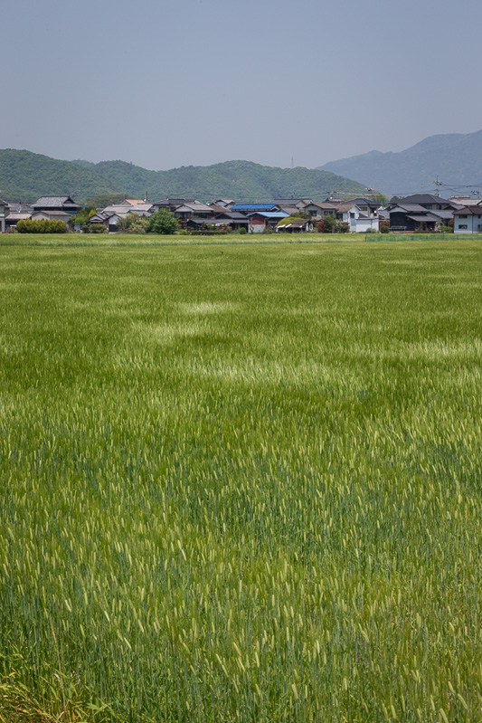 備前福岡の集落