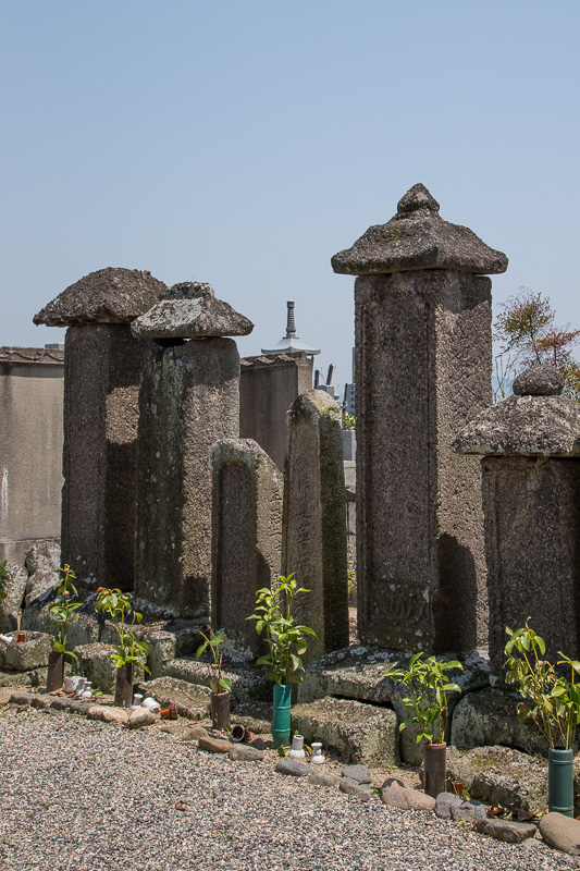 黒田高政の墓・妙興寺