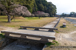 堀跡 | 高解像度画像サイズ：7584 x 5058 pixels | 写真番号：6F1A2832 | 撮影：Canon EOS R5m2