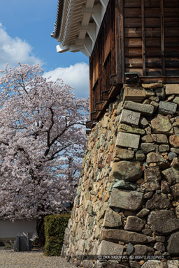 転用石・天守台石垣|高解像度画像サイズ:4480 x 6720 pixels|写真番号:5D4A7850|撮影:Canon EOS 5D Mark IV