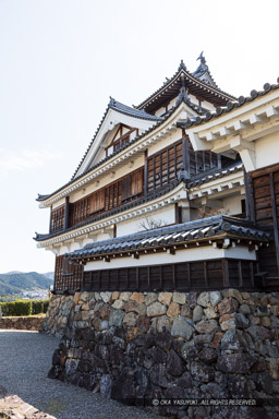 ｜高解像度画像サイズ：4480 x 6720 pixels｜写真番号：5D4A7895｜撮影：Canon EOS 5D Mark IV