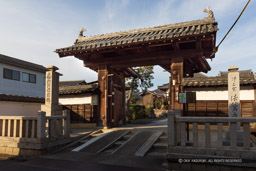 法鷲寺山門(福知山城移築城門)|高解像度画像サイズ:6574 x 4382 pixels|写真番号:5D4A8105|撮影:Canon EOS 5D Mark IV