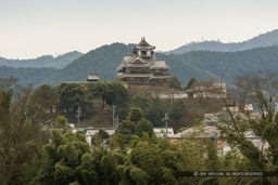 明智藪と福知山城天守｜高解像度画像サイズ：4803 x 3202 pixels｜写真番号：VJ7Z3320｜撮影：Canon EOS-1Ds Mark II