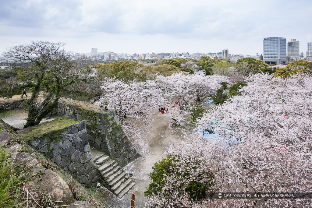 大天守台から本丸御殿跡を望む