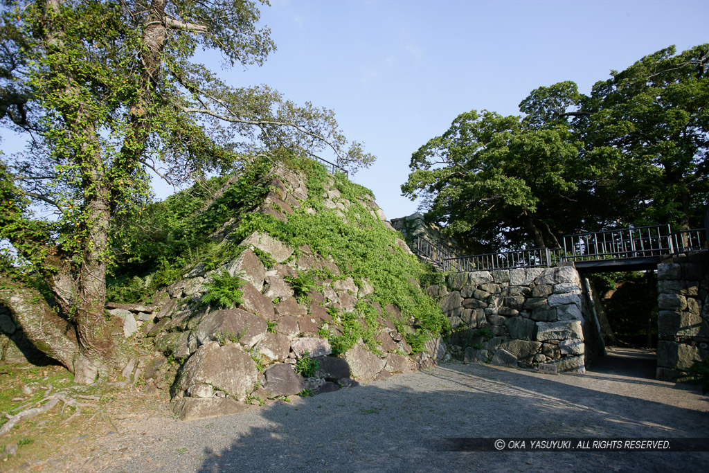 大天守台