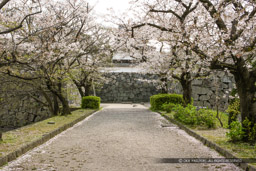 下の橋大手門｜高解像度画像サイズ：5349 x 3566 pixels｜写真番号：1P3J0930｜撮影：Canon EOS-1Ds Mark III