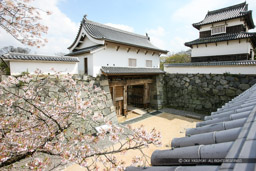 福岡城大手門・潮見櫓｜高解像度画像サイズ：5616 x 3744 pixels｜写真番号：1P3J1018｜撮影：Canon EOS-1Ds Mark III