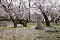 黒田如水公御鷹屋敷跡|高解像度画像サイズ:5551 x 3701 pixels|写真番号:1P3J1033|撮影:Canon EOS-1Ds Mark III