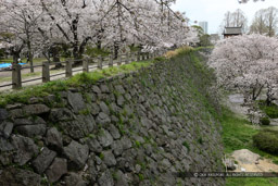 ｜高解像度画像サイズ：5616 x 3744 pixels｜写真番号：1P3J1105｜撮影：Canon EOS-1Ds Mark III