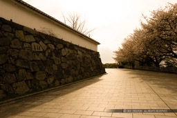 上の橋虎口｜高解像度画像サイズ：5616 x 3744 pixels｜写真番号：1P3J1256｜撮影：Canon EOS-1Ds Mark III