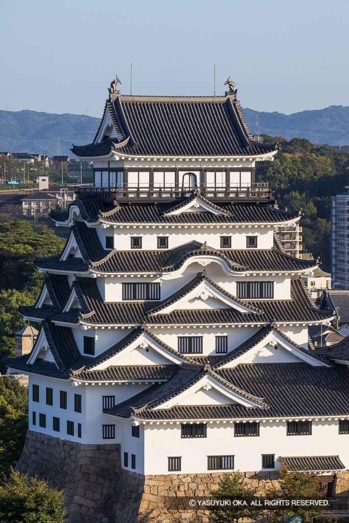 天守南面