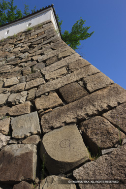 二の丸石垣刻印 | 高解像度画像サイズ:3744 x 5616 pixels | 写真番号:1P3J5061 | 撮影:Canon EOS-1Ds Mark III