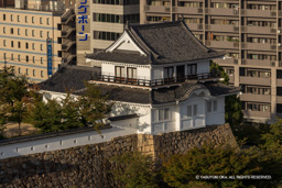 月見櫓 | 高解像度画像サイズ：8049 x 5369 pixels | 写真番号：344A2413 | 撮影：Canon EOS R5