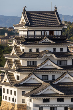 天守南面 | 高解像度画像サイズ：5362 x 8039 pixels | 写真番号：344A2428 | 撮影：Canon EOS R5