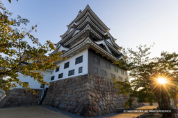 天守北面の鉄板張り | 高解像度画像サイズ：8192 x 5464 pixels | 写真番号：344A2472 | 撮影：Canon EOS R5