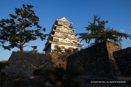 天守西面 | 高解像度画像サイズ：8192 x 5464 pixels | 写真番号：344A2487 | 撮影：Canon EOS R5