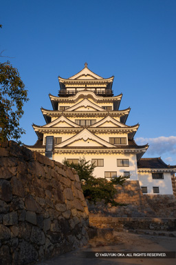 天守西面 | 高解像度画像サイズ：5444 x 8162 pixels | 写真番号：344A2522 | 撮影：Canon EOS R5