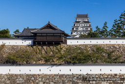 御湯殿と天守 | 高解像度画像サイズ：7610 x 5076 pixels | 写真番号：344A2704 | 撮影：Canon EOS R5