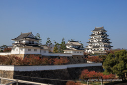 月見櫓・鏡櫓・天守（秋） | 高解像度画像サイズ：8094 x 5398 pixels | 写真番号：344A5431 | 撮影：Canon EOS R5