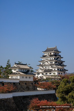 鏡櫓と天守（秋） | 高解像度画像サイズ：5464 x 8192 pixels | 写真番号：344A5434 | 撮影：Canon EOS R5