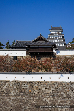 御湯殿と天守（秋） | 高解像度画像サイズ：5280 x 7916 pixels | 写真番号：344A5451 | 撮影：Canon EOS R5