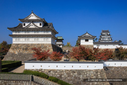 伏見櫓・鐘櫓・筋鉄御門・天守（秋） | 高解像度画像サイズ：8098 x 5401 pixels | 写真番号：344A5454 | 撮影：Canon EOS R5