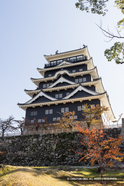 天守北面の鉄板張り（秋） | 高解像度画像サイズ：5464 x 8192 pixels | 写真番号：344A5559 | 撮影：Canon EOS R5