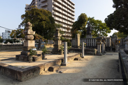 水野勝成五男・三男の墓 | 高解像度画像サイズ:8192 x 5464 pixels | 写真番号:344A5793 | 撮影:Canon EOS R5