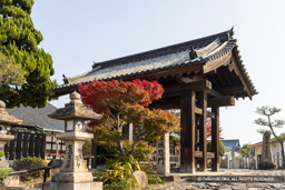 神辺城移築総門(實相寺) | 高解像度画像サイズ:8192 x 5464 pixels | 写真番号:344A5831 | 撮影:Canon EOS R5