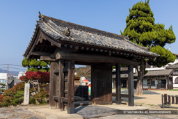 神辺城移築総門(實相寺) | 高解像度画像サイズ:8192 x 5464 pixels | 写真番号:344A5833 | 撮影:Canon EOS R5