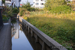 外堀跡・福山八幡宮付近 | 高解像度画像サイズ:8192 x 5464 pixels | 写真番号:344A5850 | 撮影:Canon EOS R5