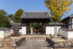 福山八幡宮 | 高解像度画像サイズ：8192 x 5464 pixels | 写真番号：344A5852 | 撮影：Canon EOS R5