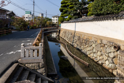 外堀跡・福山八幡宮前 | 高解像度画像サイズ：7877 x 5254 pixels | 写真番号：344A5853 | 撮影：Canon EOS R5