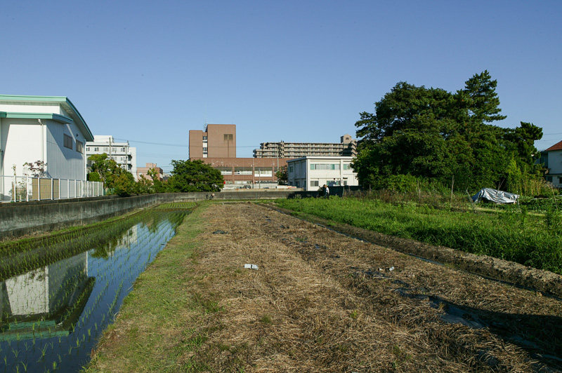 本丸跡を望む