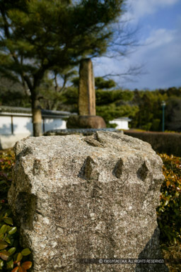 伏見城の石垣石｜高解像度画像サイズ：2704 x 4064 pixels｜写真番号：102-1297S53B｜撮影：Canon EOS-1DS