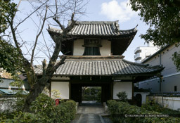 源空寺山門・伏見城遺構｜高解像度画像サイズ：3772 x 2577 pixels｜写真番号：100-0272S53B｜撮影：Canon EOS-1DS