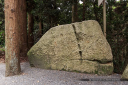 伏見城の石垣跡・伏見桃山陵の参道｜高解像度画像サイズ：5002 x 3335 pixels｜写真番号：1DXL5616｜撮影：Canon EOS-1D X