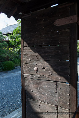 伏見城移築城門・観音寺山門・百たたき門｜高解像度画像サイズ：3354 x 5031 pixels｜写真番号：1DXL6855｜撮影：Canon EOS-1D X