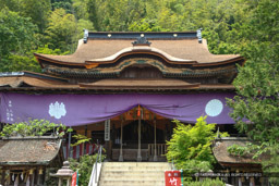 都久夫須麻神社本殿・伏見城日暮御殿・竹生島｜高解像度画像サイズ：5442 x 3628 pixels｜写真番号：1P3J5796｜撮影：Canon EOS-1Ds Mark III