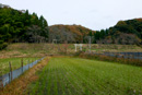 月山富田城